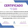 Ampliar imagem: certificate 2