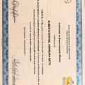 Ampliar imagem: certificate 8