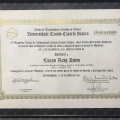 Ampliar imagem: certificate 4