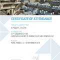 Ampliar imagem: certificate 7