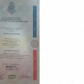 Ampliar imagem: certificate 1
