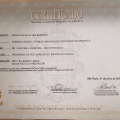 Ampliar imagem: certificate 12