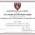 Ampliar imagem: certificate 8