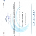 Ampliar imagem: certificate 13