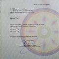 Ampliar imagem: certificate 13