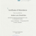 Ampliar imagem: certificate 1
