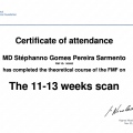 Ampliar imagem: certificate 4