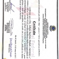 Ampliar imagem: certificate 4
