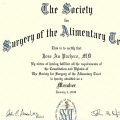 Ampliar imagem: certificate 7