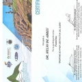 Ampliar imagem: certificate 5