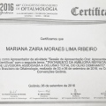 Ampliar imagem: certificate 4