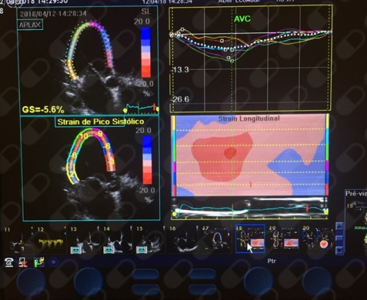 Claudia Maria De Freitas Bruno-0