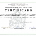 Ampliar imagem: certificate 5