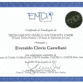 Ampliar imagem: certificate 4