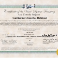 Ampliar imagem: certificate 1