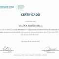 Ampliar imagem: certificate 2