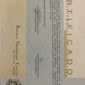 Ampliar imagem: certificate 1