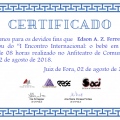 Ampliar imagem: certificate 13