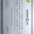 Ampliar imagem: certificate 17