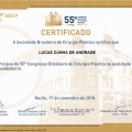 Ampliar imagem: certificate 19