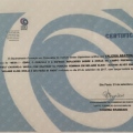 Ampliar imagem: certificate 19