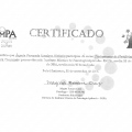 Ampliar imagem: certificate 6
