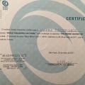 Ampliar imagem: certificate 15