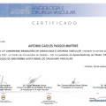 Ampliar imagem: certificate 15