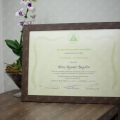 Ampliar imagem: certificate 1
