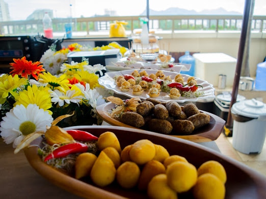 Patrícia Bichara De Carvalho Moreira-9