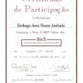 Ampliar imagem: certificate 21