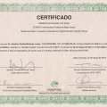 Ampliar imagem: certificate 9