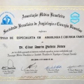 Ampliar imagem: certificate 13