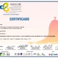 Ampliar imagem: certificate 4