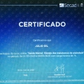 Ampliar imagem: certificate 2