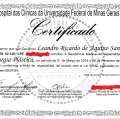 Ampliar imagem: certificate 3