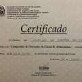 Ampliar imagem: certificate 8
