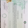Ampliar imagem: certificate 2
