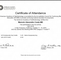 Ampliar imagem: certificate 6