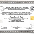 Ampliar imagem: certificate 4