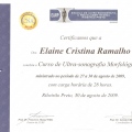 Ampliar imagem: certificate 5