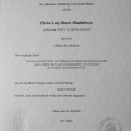 Ampliar imagem: certificate 4