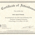 Ampliar imagem: certificate 11