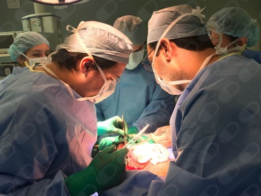 Fernando Furlan Nunes-4