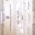 Ampliar imagem: certificate 5