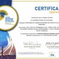 Ampliar imagem: certificate 11