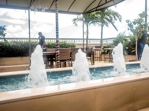 Patrícia Bichara De Carvalho Moreira-11