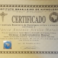 Ampliar imagem: certificate 9
