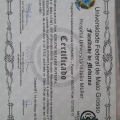 Ampliar imagem: certificate 5