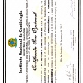 Ampliar imagem: certificate 1